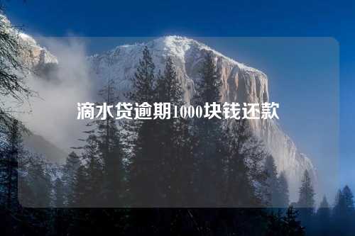 滴水贷逾期1000块钱还款