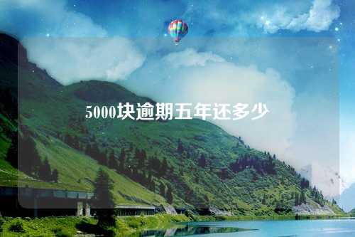 5000块逾期五年还多少