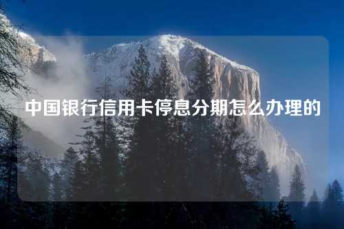 中国银行信用卡停息分期怎么办理的