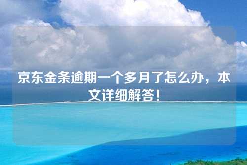 京东金条逾期一个多月了怎么办，本文详细解答！