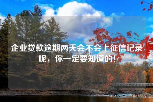 企业贷款逾期两天会不会上征信记录呢，你一定要知道的！