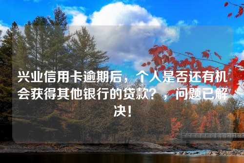 兴业信用卡逾期后，个人是否还有机会获得其他银行的贷款？，问题已解决！