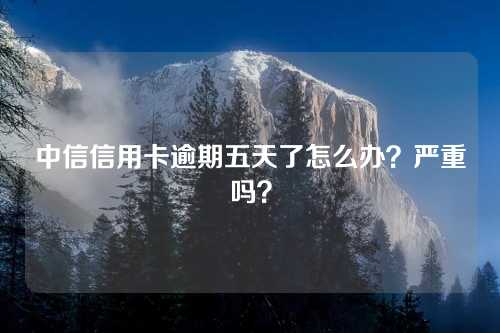 中信信用卡逾期五天了怎么办？严重吗？