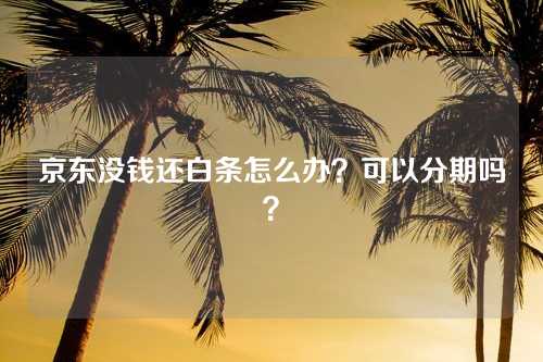 京东没钱还白条怎么办？可以分期吗？